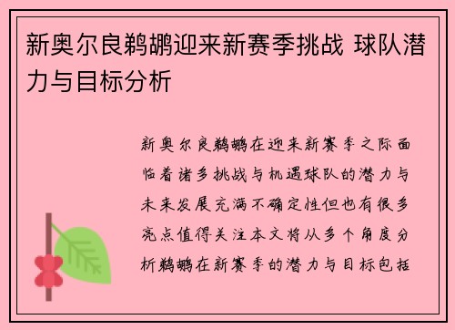 新奥尔良鹈鹕迎来新赛季挑战 球队潜力与目标分析