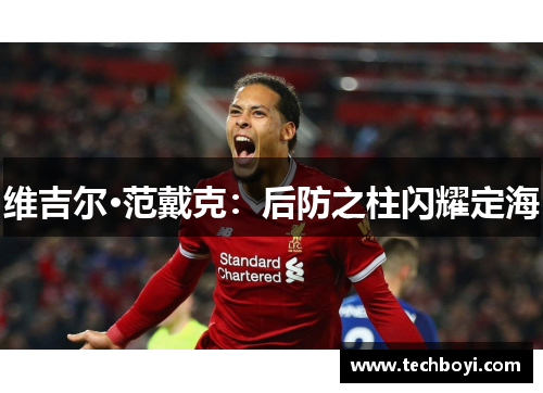 维吉尔·范戴克：后防之柱闪耀定海