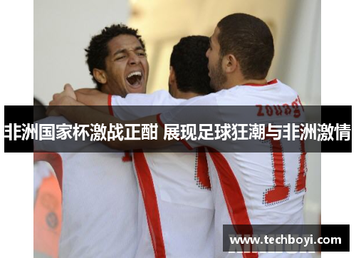 非洲国家杯激战正酣 展现足球狂潮与非洲激情