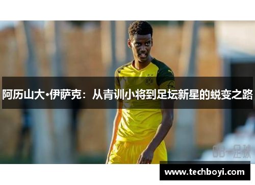 阿历山大·伊萨克：从青训小将到足坛新星的蜕变之路